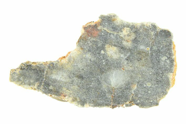 Lunar Meteorite ( g) Slice - Bechar #291712